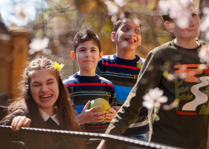 Children in Spring