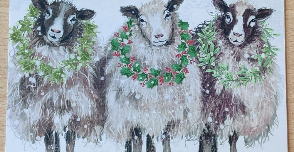 Christmas Sheep