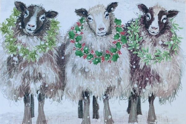 Christmas Sheep